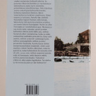 Sastamalan historia, 1,1 : Esihistoria - pikkukuva 2