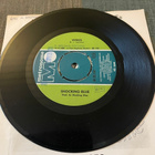 THE SHOCKING BLUE: Venus * Hot Sand * SWE 1969 - pikkukuva 3