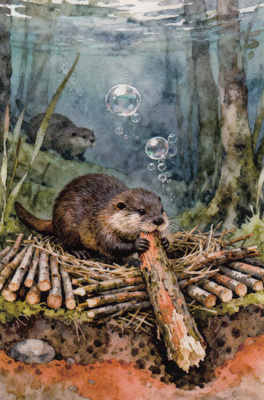 Majava rakennuspuuhissa