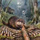 Majava rakennuspuuhissa - pikkukuva 1