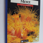 Meret : delfiinit, ryhävalas, hait, meritursas, ankerias,... - pikkukuva 1