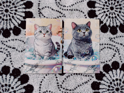 ~Kissa kortti~ 2kpl