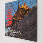 The forbidden city - pikkukuva 1