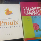 Annie Proulx: Laivauutisia ja Zadie Smith: Valkoiset hanpaat - pikkukuva 1