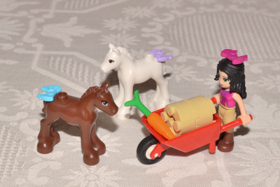 LEGO Friends - Emman varsat -
