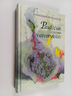 Joana Danute Zilaityte : Pauksciai virsum vaivorykstes