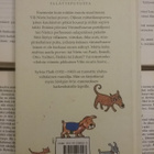 Sylvia Plath - Salaperäinen puku (sid.) - pikkukuva 2