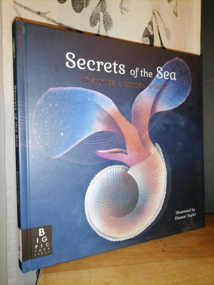 Secrets of the Sea - Eleanor Taylor - Uusi - Suuri