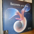 Secrets of the Sea - Eleanor Taylor - Uusi - Suuri - pikkukuva 1