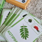Oppimiskortteja - eläimet, puut / 3 pakettia - pikkukuva 2