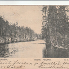 WIRRAT - TORISEVA - pikkukuva 1
