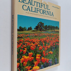 Beautiful California - pikkukuva 1