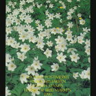 Suomi vuosilajitelma 1990** - pikkukuva 1