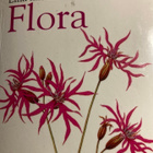 LILLA FÄLTHANDBOKEN FLORA - pikkukuva 1