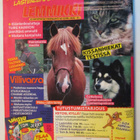 NYKYPOSTI LEHTI 11 / 1998 SISÄLLYSLUETTELO KUVA 2 ja 3 - pikkukuva 4