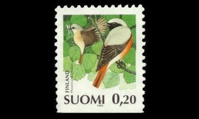 1210 ** Leppälintu (1993)