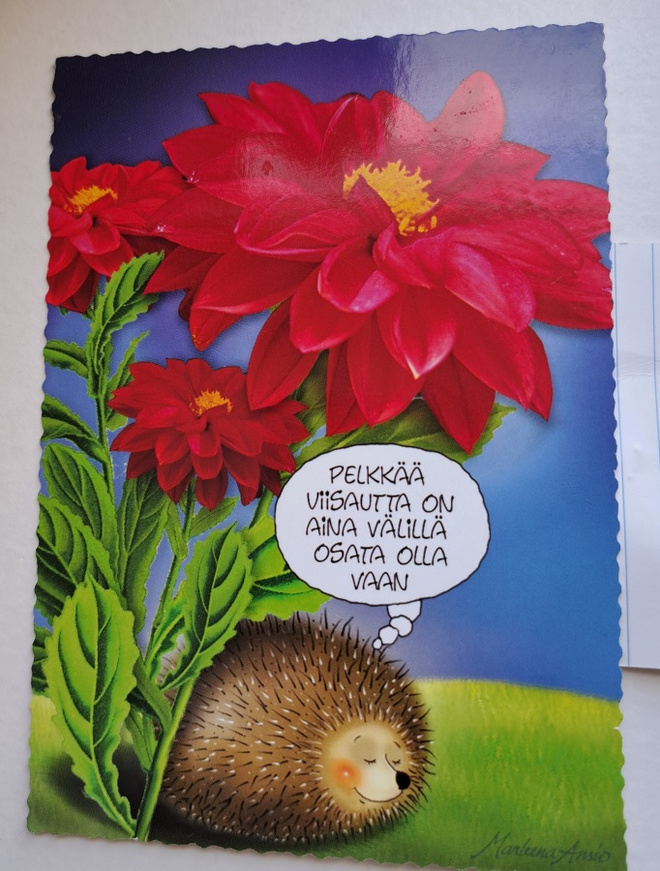 Ansio: siili kukan alla, kulkenut 2009