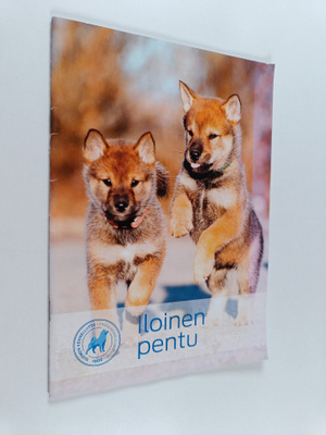 Iloinen pentu