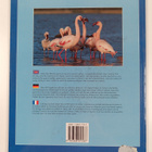 Pippa Parker : Beautiful birds of southern africa - pikkukuva 2