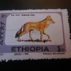 Etiopia: Simien kettu - pikkukuva 2