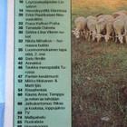 ANNA LEHTI 9 / 1982 SISÄLLYSLUETTELO KUVA 2 - pikkukuva 2