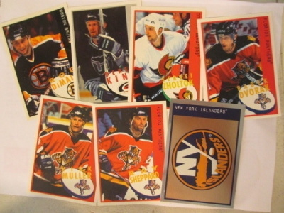 Panini Hockey 1997-98 stickers tarroja, Katso!