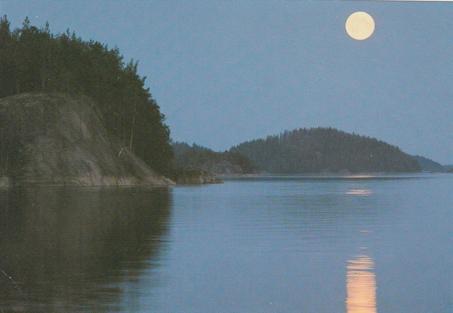 POSTIKORTTI  Suomen luonnonsuojeluliitto, Norppa-tunnus