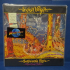 SIELUN VELJET - SOFTWOOD MUSIC UUSI FIN 2022 NOV 25 LP - pikkukuva 1