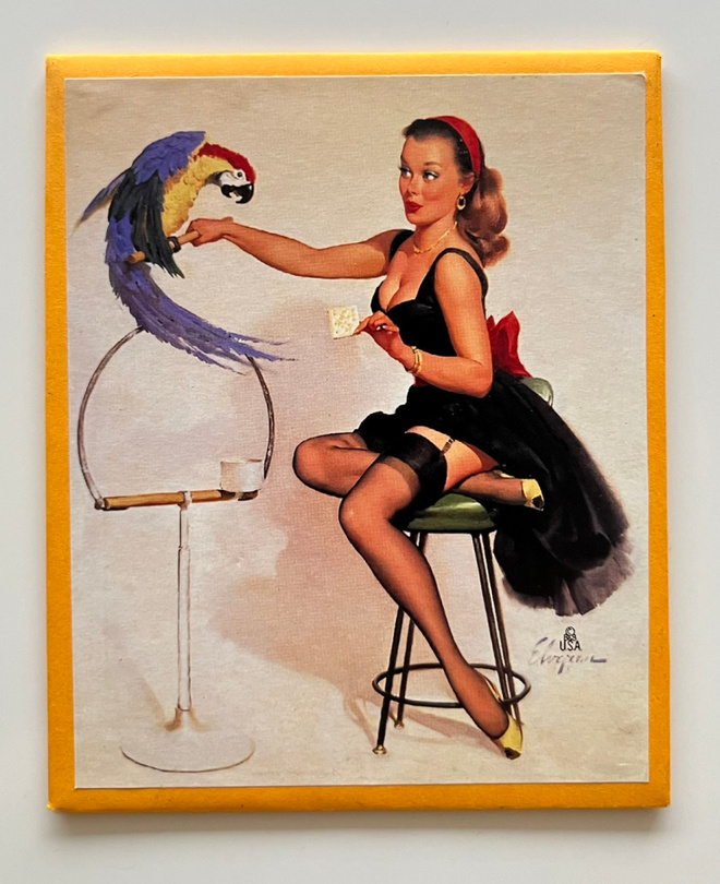 * Pin-up-magneetti * lemmikkinä papukaija *