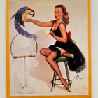 * Pin-up-magneetti * lemmikkinä papukaija * - pikkukuva 1