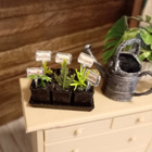 Nukkekoti miniatyyrit yrttilaatikko 1:12 - pikkukuva 3