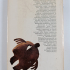 Bernard Malamud : Idiootit ensin - pikkukuva 2