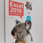 Outi Lammi : Excel 2010 : laatua taulukoihin - pikkukuva 1