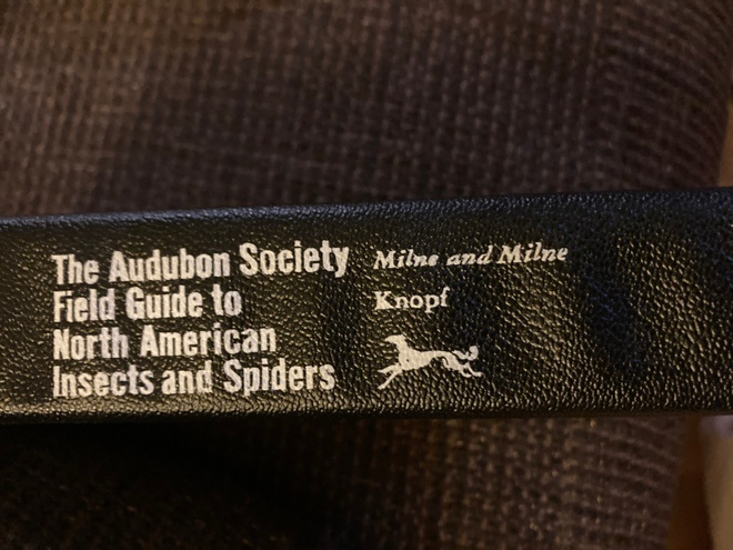 NATIONAL AUDUBON SOCIETY FIELD GUIDE THE NORTH AMERICANS