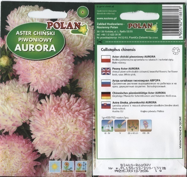 Kiinanasteri "Aurora" - siemenet #
