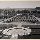 Lepaan Puutarhaopisto, lampi ja istutuksia, 1930-l, ei p. - pikkukuva 1