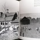 1968 Tikkurila ym Helsingin maalaiskunta Valokuvateos - pikkukuva 4