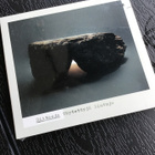 Riitaoja - täytettyjä lintuja CD - pikkukuva 1