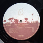 Juhani Aaltonen: Springbird LP 1979 1. painos  - pikkukuva 3
