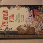 Paul Stewart : Sysimetsän poika ( 1.p. 2005) - pikkukuva 1