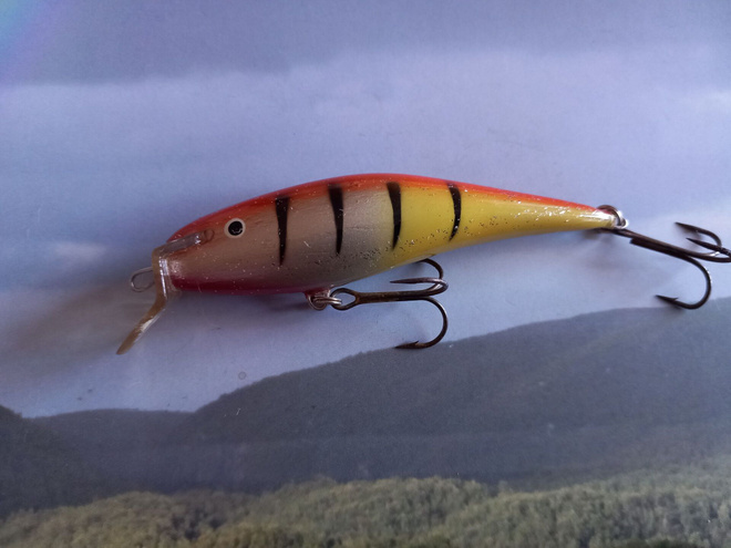 Lohivaappu