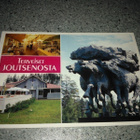 kortti : terveiset Joutsenosta - pikkukuva 1