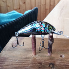 Salmo  Floating Hornet 4 Black Silver Shad - pikkukuva 1