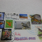 Kissa, Canada, kulkenut - pikkukuva 2
