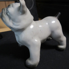 ARABIA BULLDOG KOIRA - pikkukuva 2