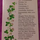 Nimikortti / Nimipäiväkortti Marja-Leena - pikkukuva 2