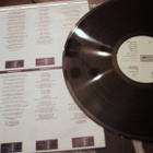 Bryan Adams – Into The Fire LP - pikkukuva 3
