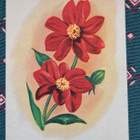 kukkia, taittokortti, kulkenut 1948 - pikkukuva 1
