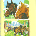 HEVOSET ARKKI - pikkukuva 1