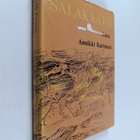 Annikki Kariniemi : Salakaato - pikkukuva 1